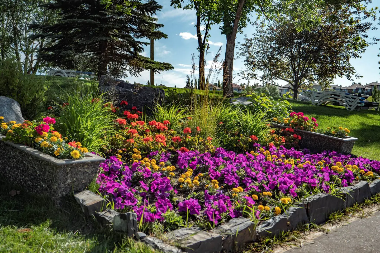 Arbour Lake community in Calgary